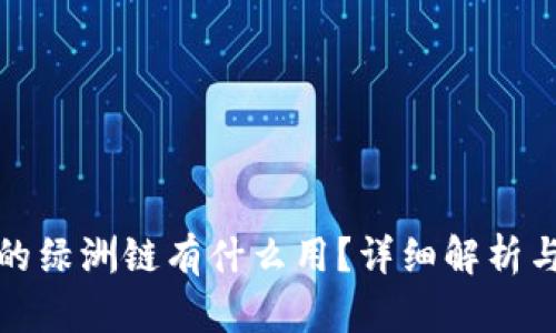 tp钱包上的绿洲链有什么用？详细解析与实践指南